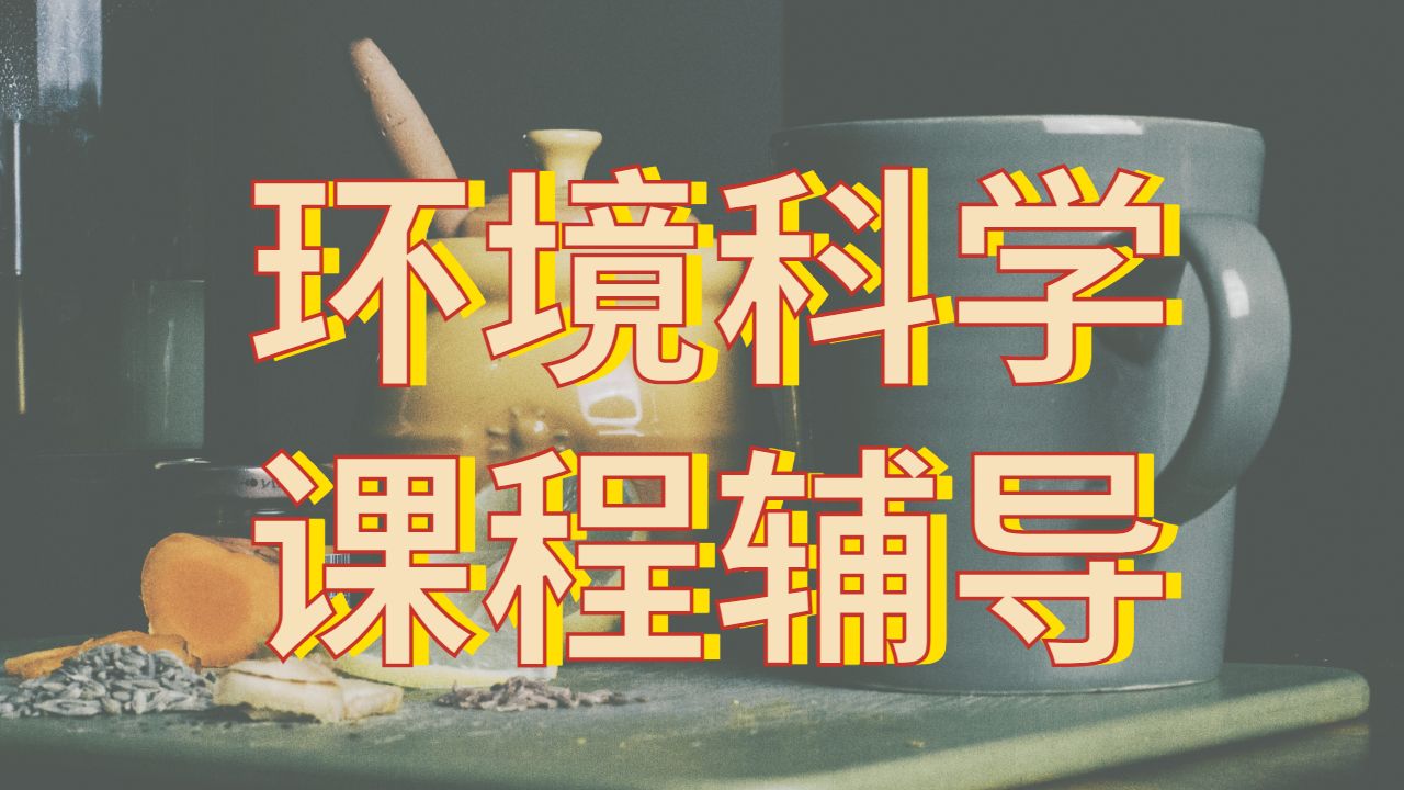 本科課程輔導(dǎo)