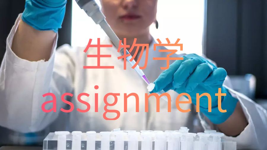 assignment怎么寫
