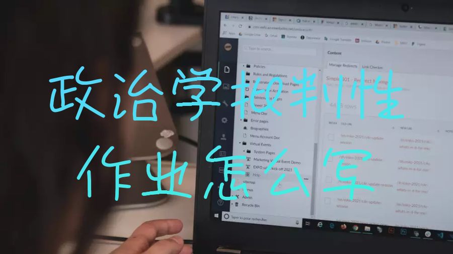 謝菲爾德大學(xué)政治學(xué)批判性作業(yè)怎么寫？