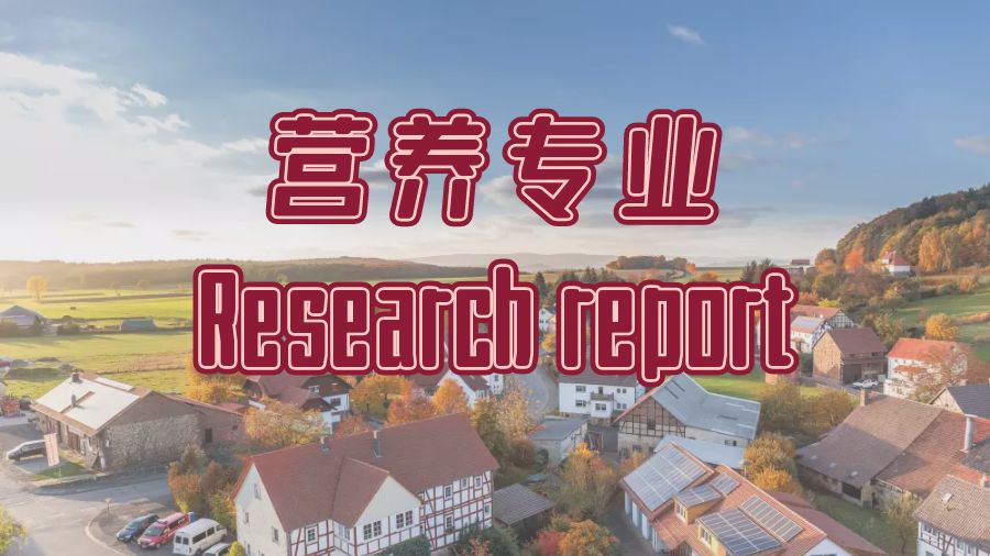 ?留學(xué)生如何撰寫(xiě)IT專(zhuān)業(yè)的Research Report？