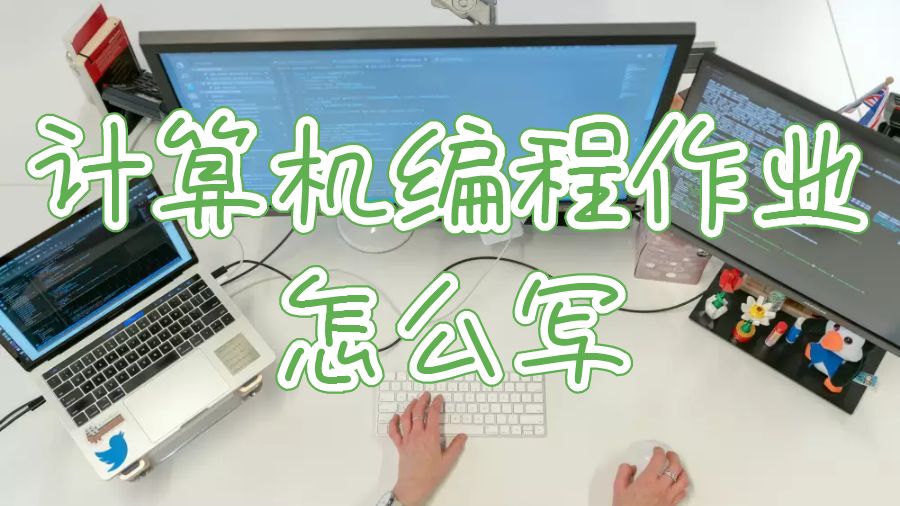悉尼科技大學(xué)計(jì)算機(jī)編程課程作業(yè)怎么寫(xiě)？