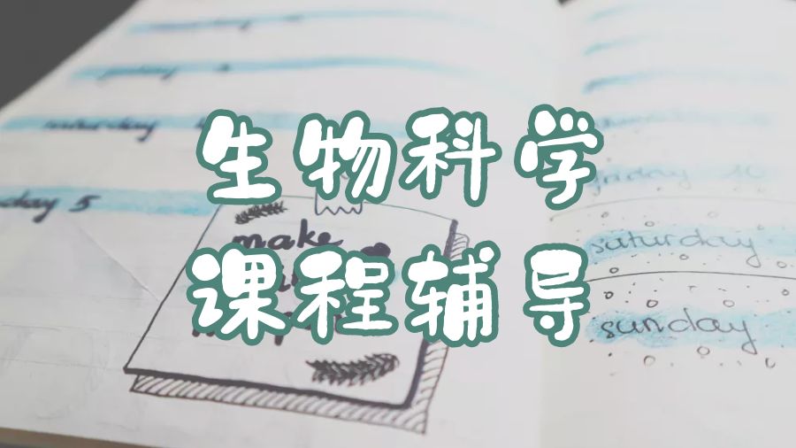 本科課程輔導(dǎo)