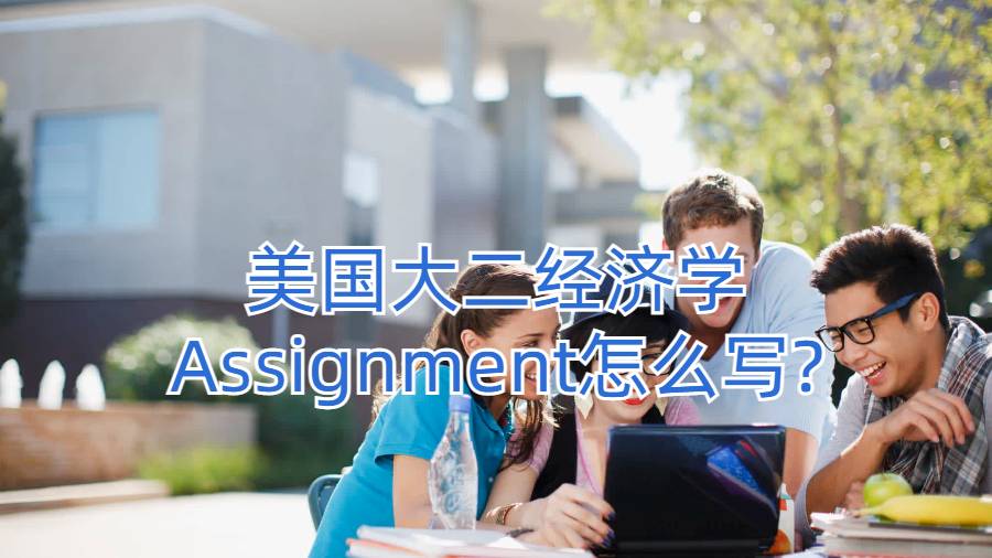 美國大二經(jīng)濟(jì)學(xué)Assignment怎么寫?