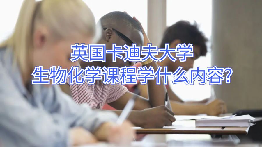 英國卡迪夫大學(xué)生物化學(xué)課程學(xué)什么內(nèi)容?