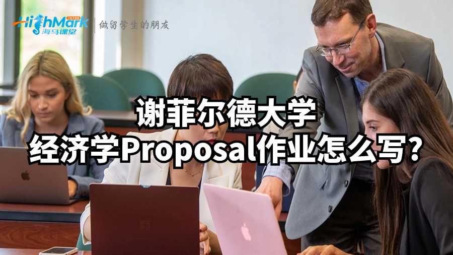 謝菲爾德大學(xué)經(jīng)濟(jì)學(xué)Proposal作業(yè)怎么寫?