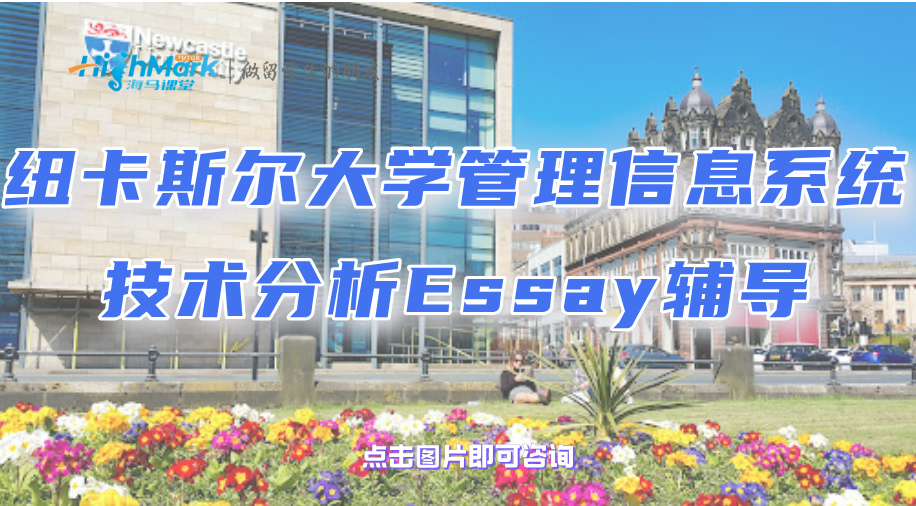 紐卡斯爾大學管理信息系統(tǒng)技術分析Essay輔導