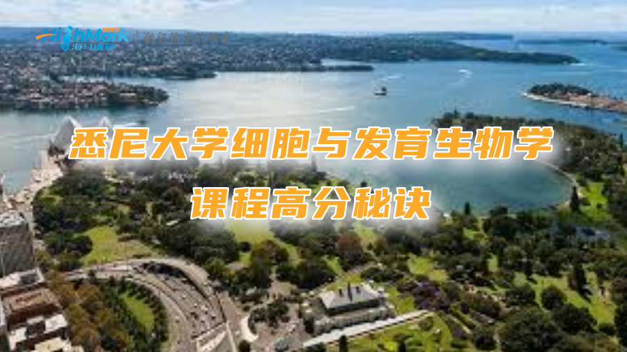 悉尼大學(xué)細胞與發(fā)育生物學(xué)課程高分秘訣
